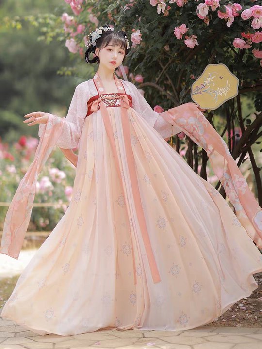 Hanfu Customization -Tang Dynasty Hanfu